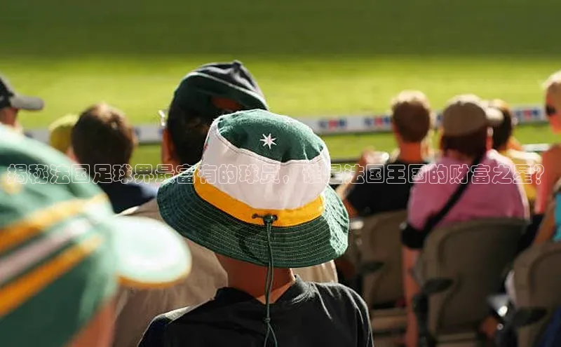 hth最新官方登录官方网站壹网壹创揭秘法国足球界最富有的球员，谁是法国王国的财富之星？