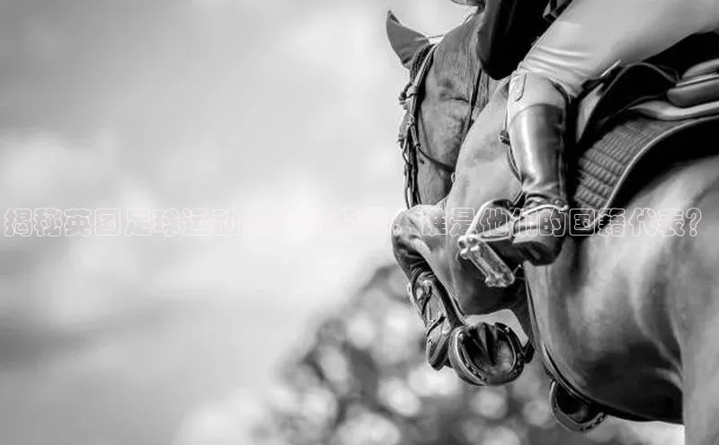 hth·华体育官方百度智能门户揭秘英国足球运动员身份背景，谁是他们的国籍代表？