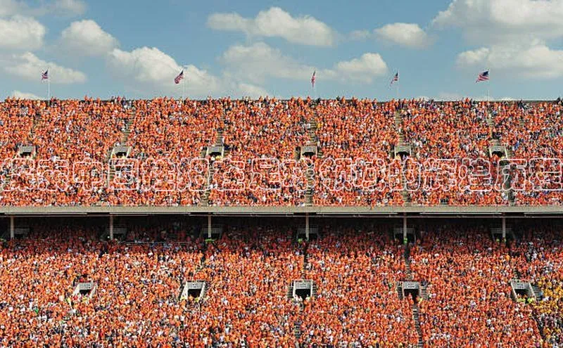 华体育手机app下载猫眼探索中国姓姆在足球领域的辉煌历程