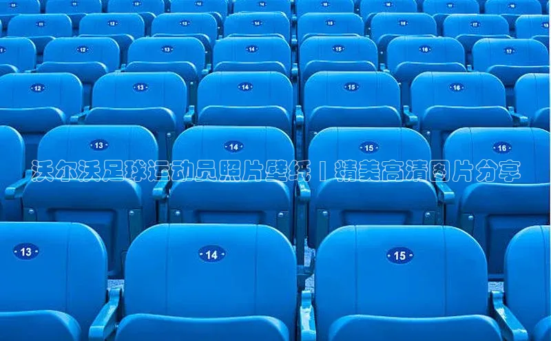 华体育app官网登录百度手机卫士沃尔沃足球运动员照片壁纸 | 精美高清图片分享