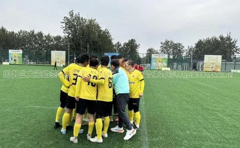 华体育app官方网站入口京东国外三大运动赛事的精彩与挑战：如何推动体育精神的全球化发展？