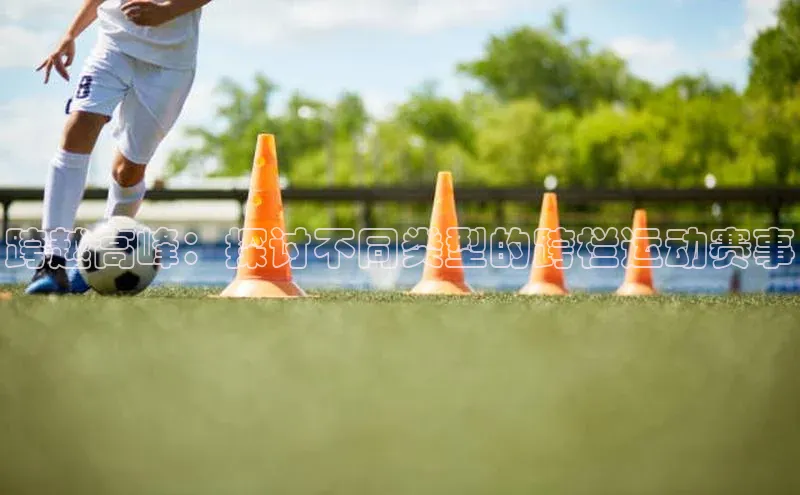 跨越高峰：探讨不同类型的跨栏运动赛事