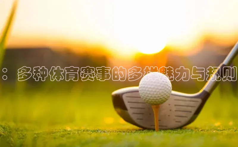：多种体育赛事的多样魅力与规则