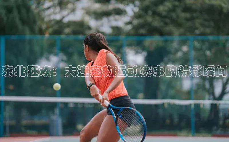 东北狂欢：大连宠物运动赛事的精彩瞬间