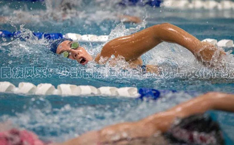 民族风采：少数民族运动会的魅力与文化传统