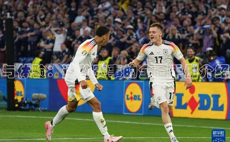 与体验：运动赛事的全面手册介绍