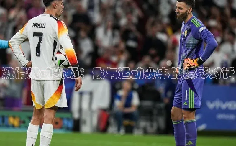 激情燃动赛场：我与运动赛事的精彩对话