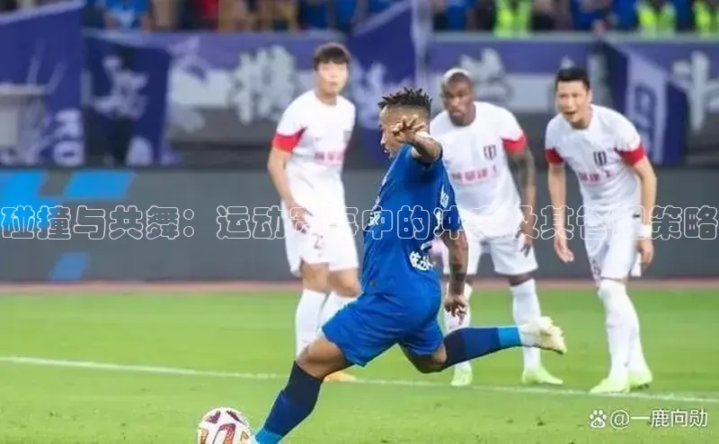 碰撞与共舞：运动赛事中的冲突及其管理策略