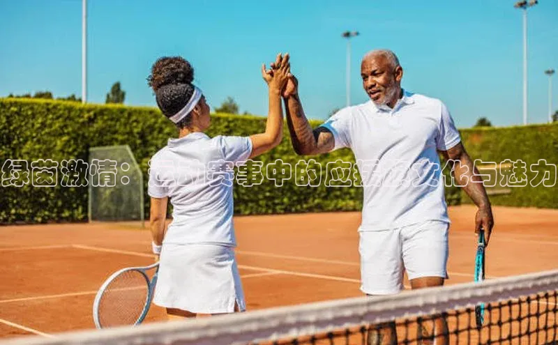 绿茵激情：运动赛事中的应援旗文化与魅力