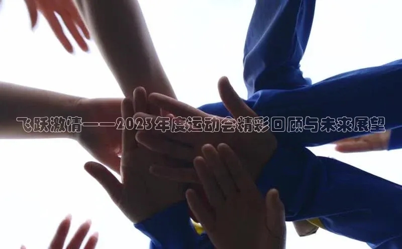 飞跃激情——2023年度运动会精彩回顾与未来展望