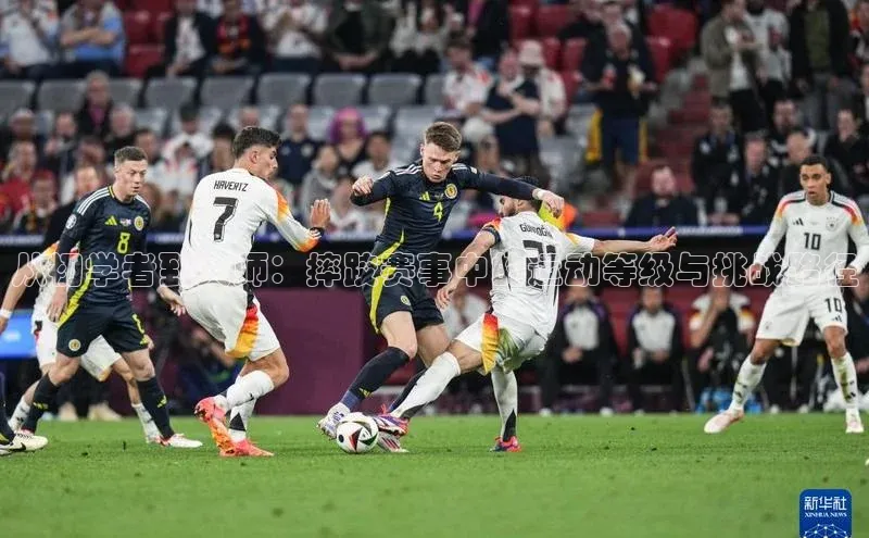 从初学者到大师：摔跤赛事中的运动等级与挑战路径