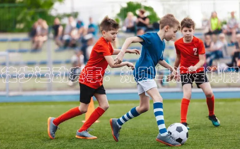 徒步运动赛事：规则与流程详解