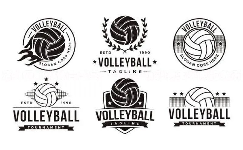 活力四射的体育盛宴：运动会精彩赛事亮点抢先看