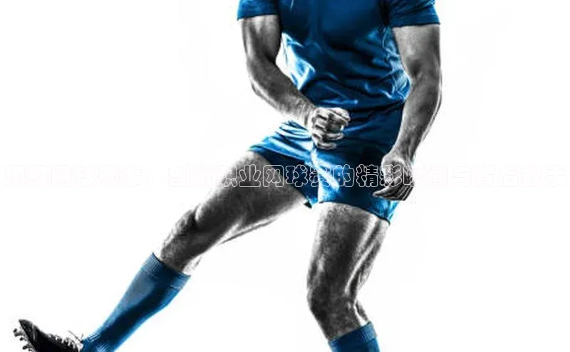 顶级网球赛事：剖析职业网球赛的精彩瞬间与背后故事