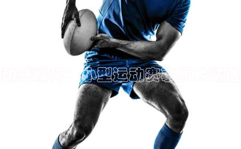 华体育app官网登录