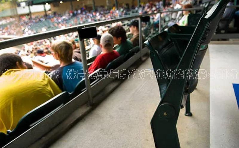 华体育app官方网站入口