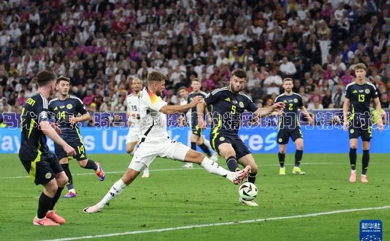 华体育app官方网站入口