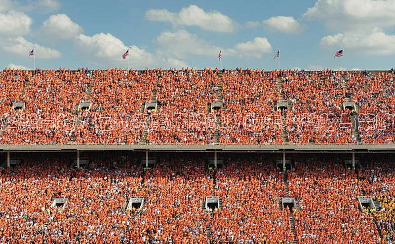 华体会hth·(体育)